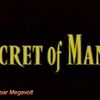 Pub secret of mana