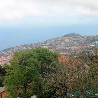Un petit tour à Madère ... 2 - Monte ... Funchal