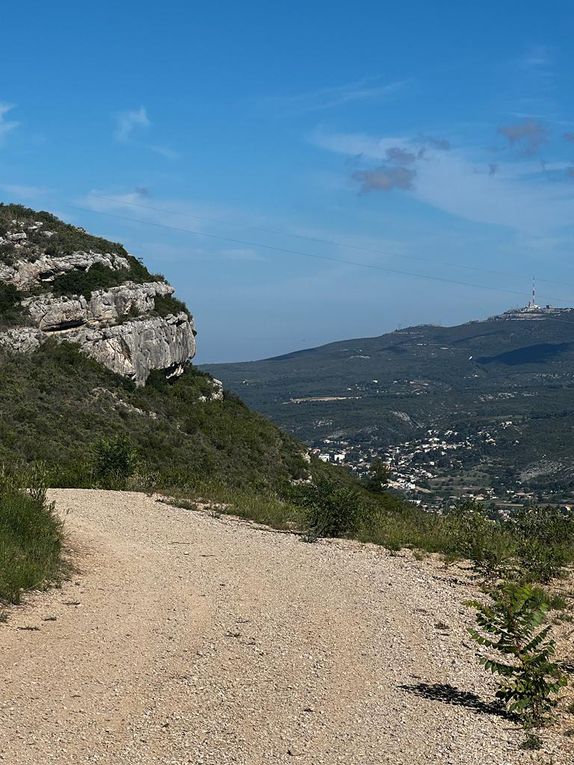 &quot;More ruches&quot; à l'américaine