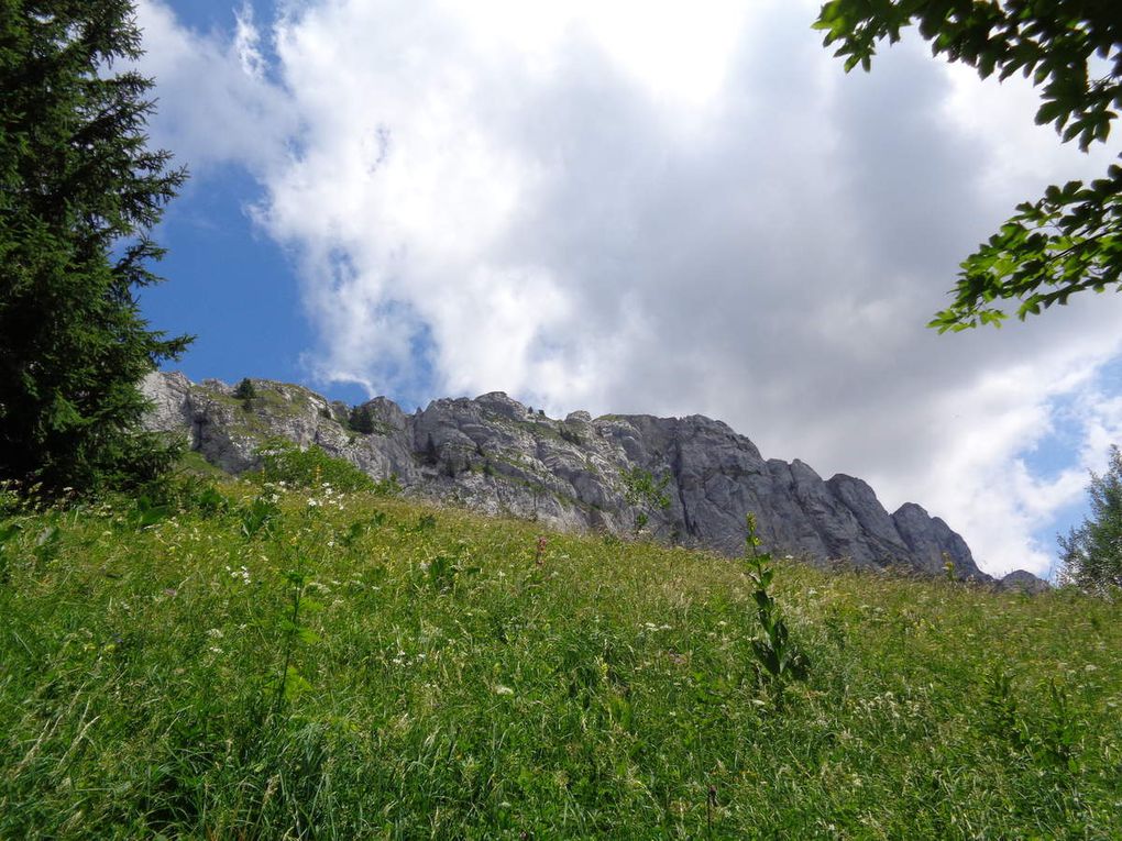 Mes randos : Combe Charbonnière par le vallon des fauges 