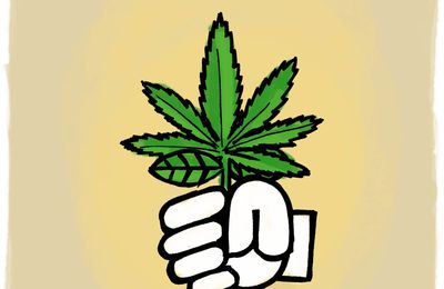 Nous disons : Non à la dépénalisation du cannabis !