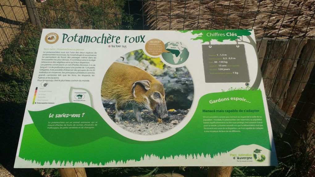 Visite du parc animalier d'Auvergne