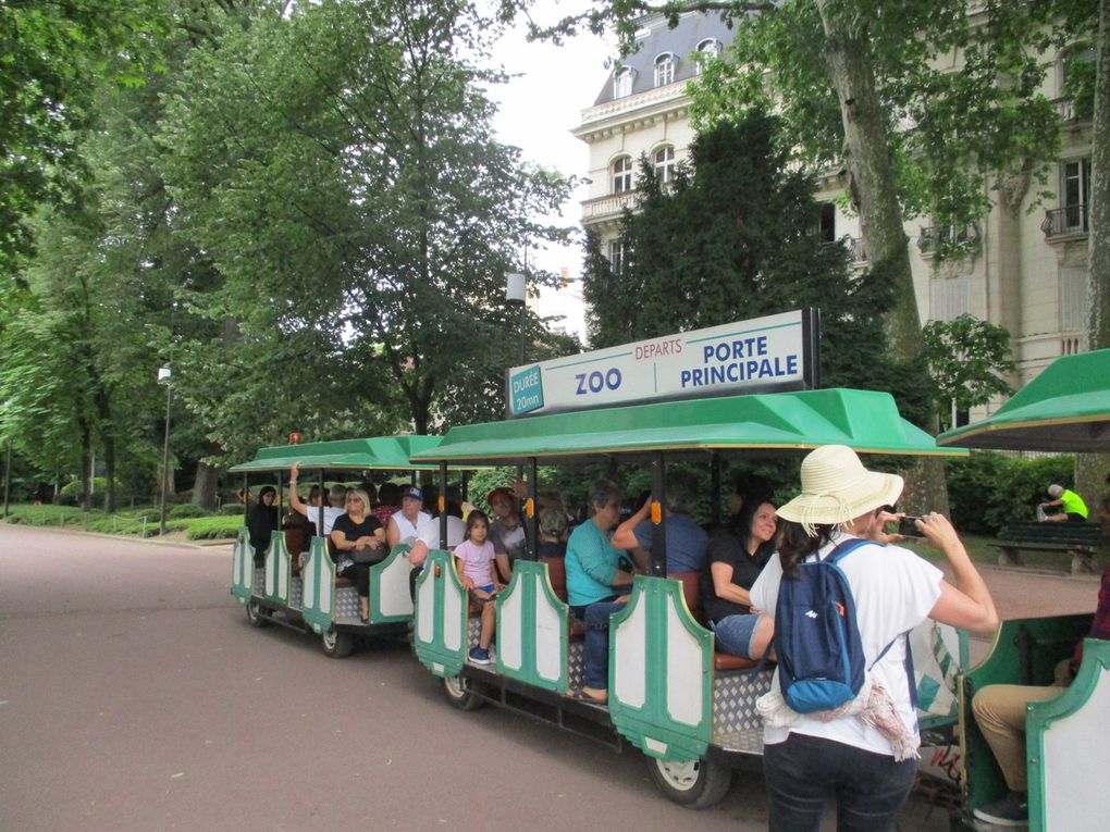            Puis le Petit Train nous attendait pour nous faire découvrir le parc et ses activités