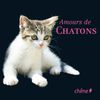 Chiots d’amour et amours de chatons aux editions chêne