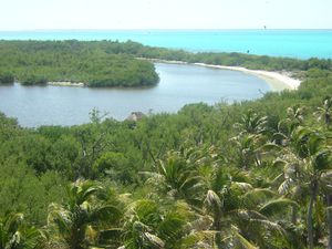 " Isla-Contoy " Ile Paradisiaque , ou seul la nature est maitre !!!