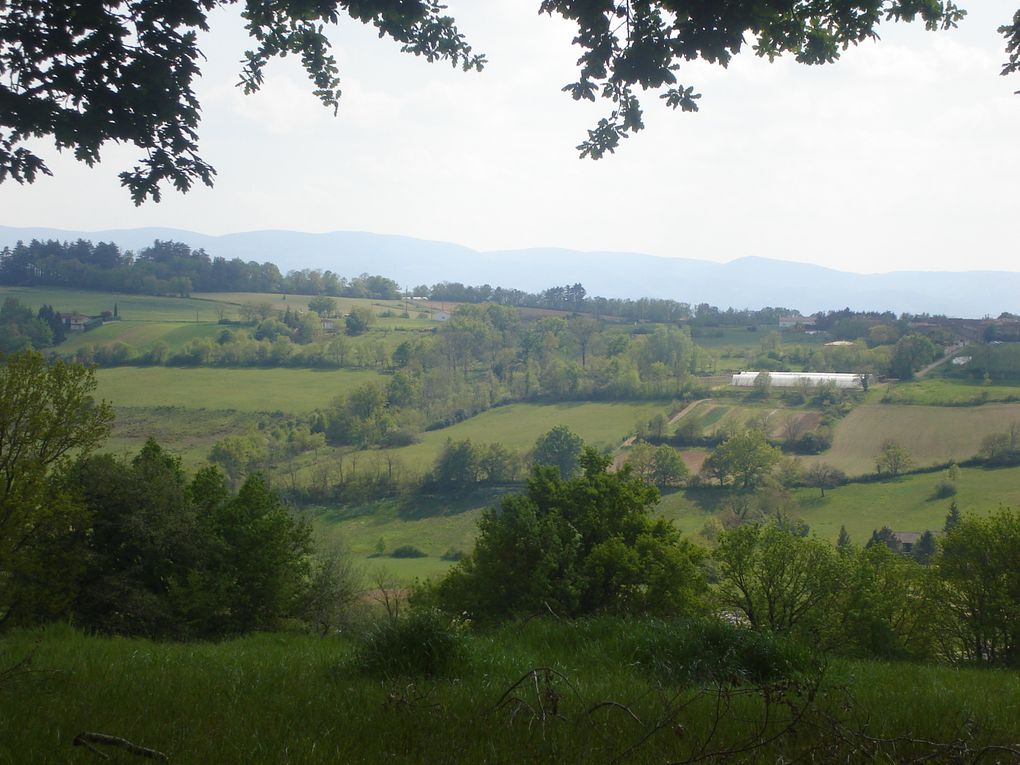 Diverses randonnées, essentiellement dans le Tarn