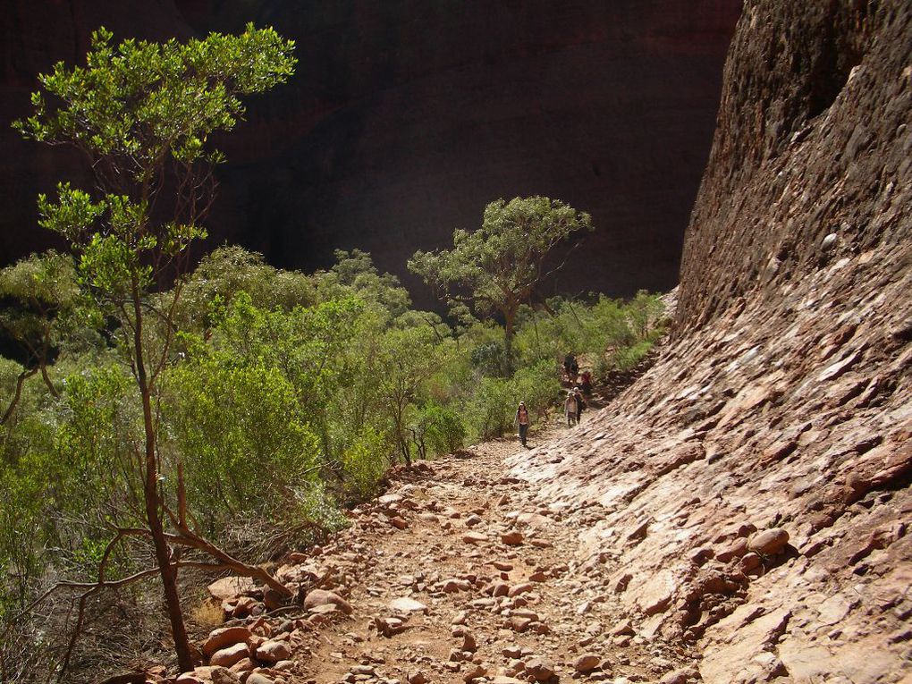 Album - The-Ultimate-Oz-Experience-2--Outback--The-Olgas---Ayers-Rock---Kings Canyon