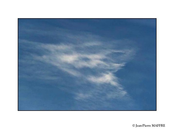 On a tous tendance à trouver des formes connues dans les nuages, les rochers ou des taches d'encre. Notre cerveau cherche toujours à les associer à celles qu'il a déjà mémorisées.