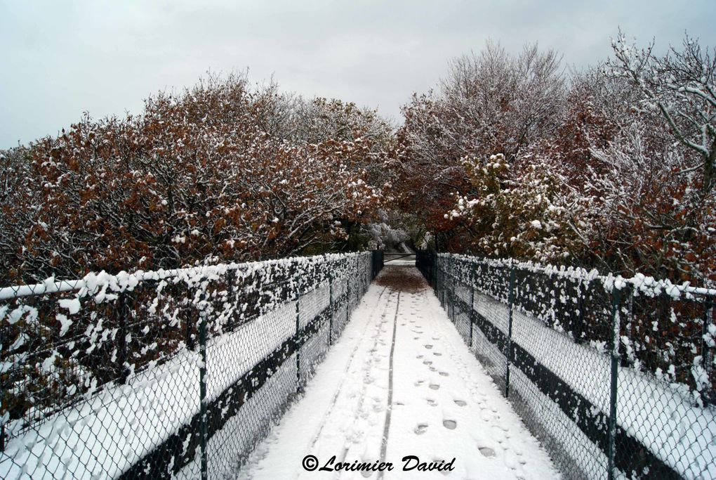 reportage photo de la neige tomber sur le nord cotentin le 27 novembre
2010