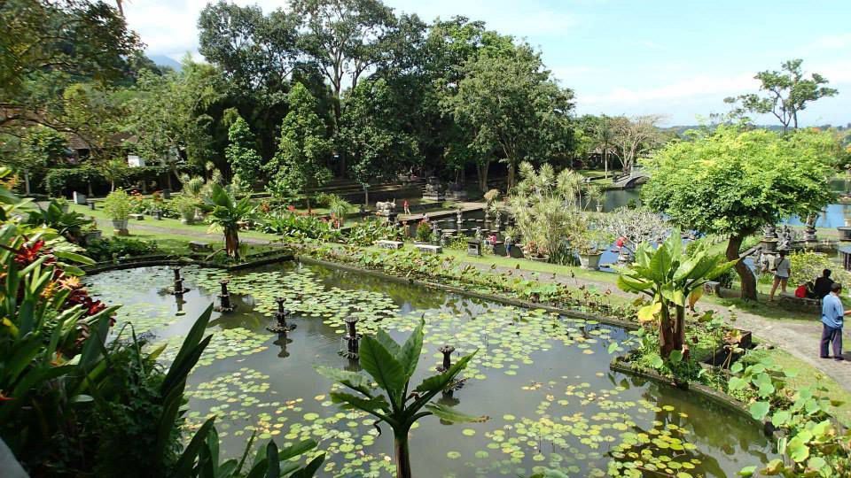 Le Water Palace,"Eau du Gange". Ce n'est pas un temple religieux, juste un magnifique parc de promenade avec des bassins et des nénuphars calme et reposant