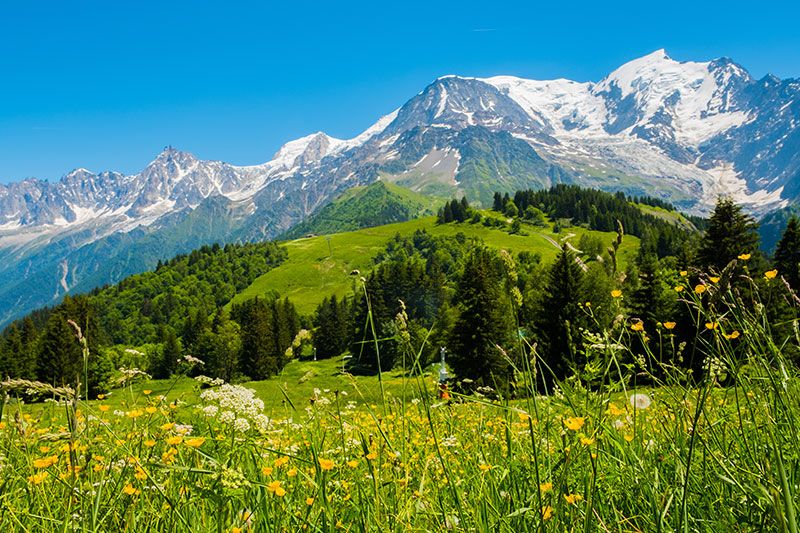 Du 19 au 21 juillet, Megève va vivre au rythme de la Blue Note !