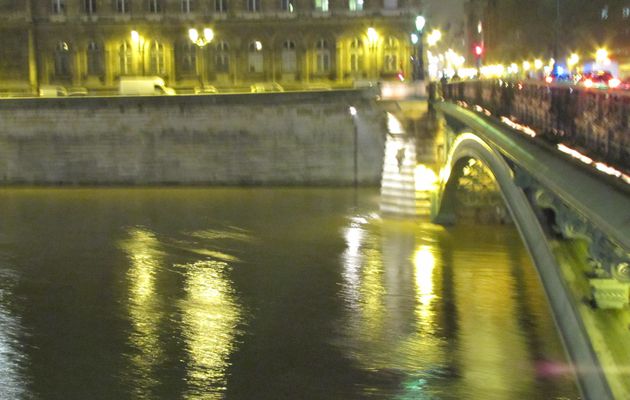 Evolution de la seine vers la fin décembre 2010