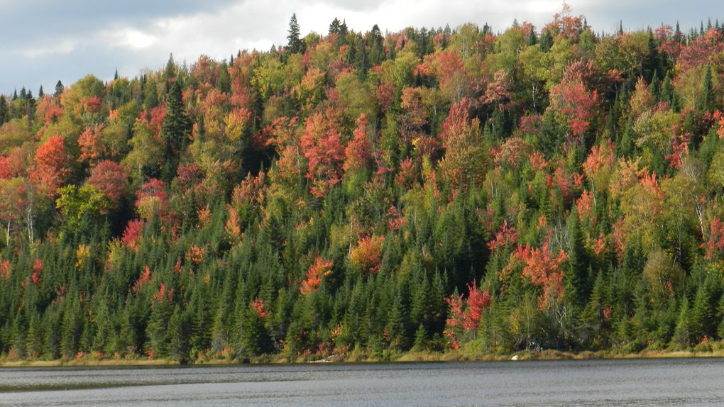 Album - Canada