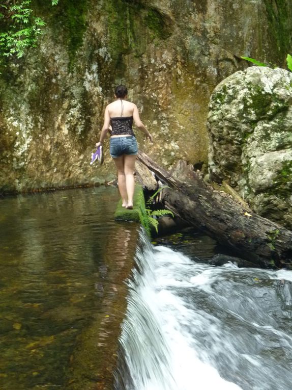 Album - Cairns---Rainforest.-Waterfalls--Beach