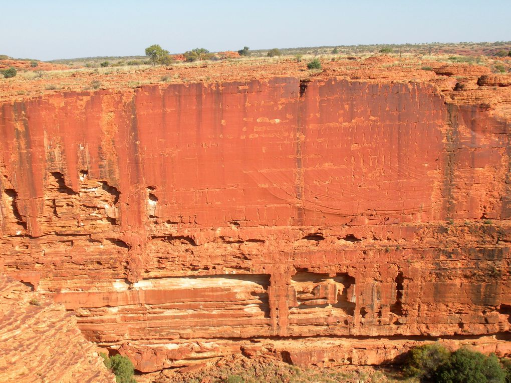 Voyage au coeur de l'Australie et des Aborigènes