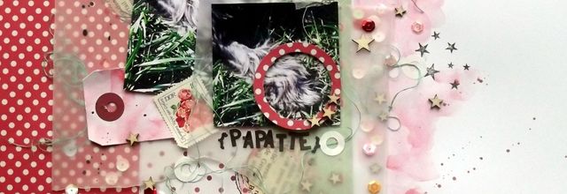 DT Swirlcards : "papatte"