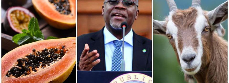 Recordando a John Magufuli, el difunto presidente de Tanzania que expuso la farsa del coronavirus
