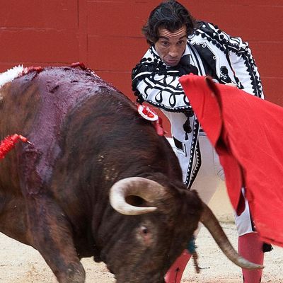 Polémique après la présence de deux ministres à une corrida à Bayonne