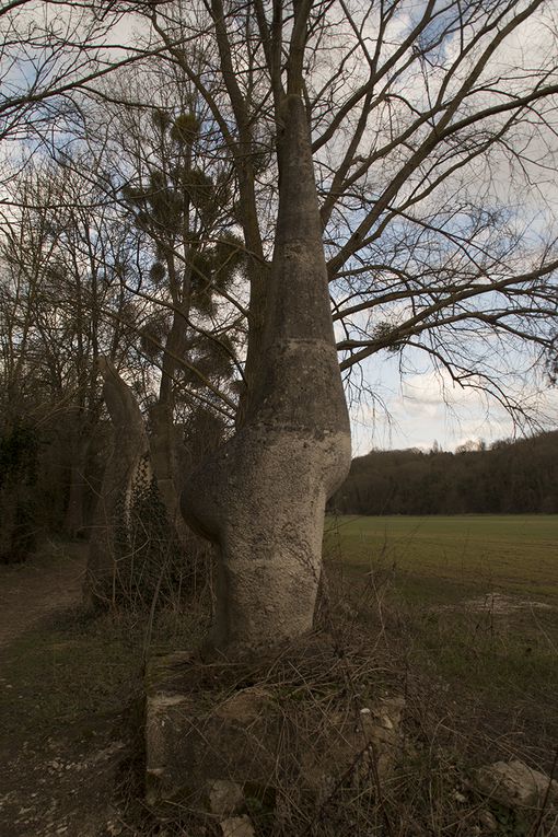 Le jardin de sculpure de la Dhuys