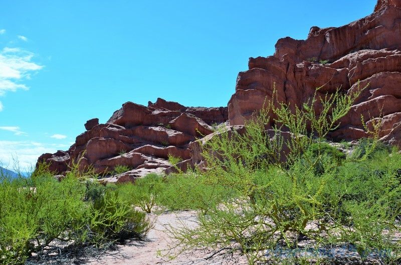 Quebrada de las Conchas - Los Colorados, Argentine en camping-car