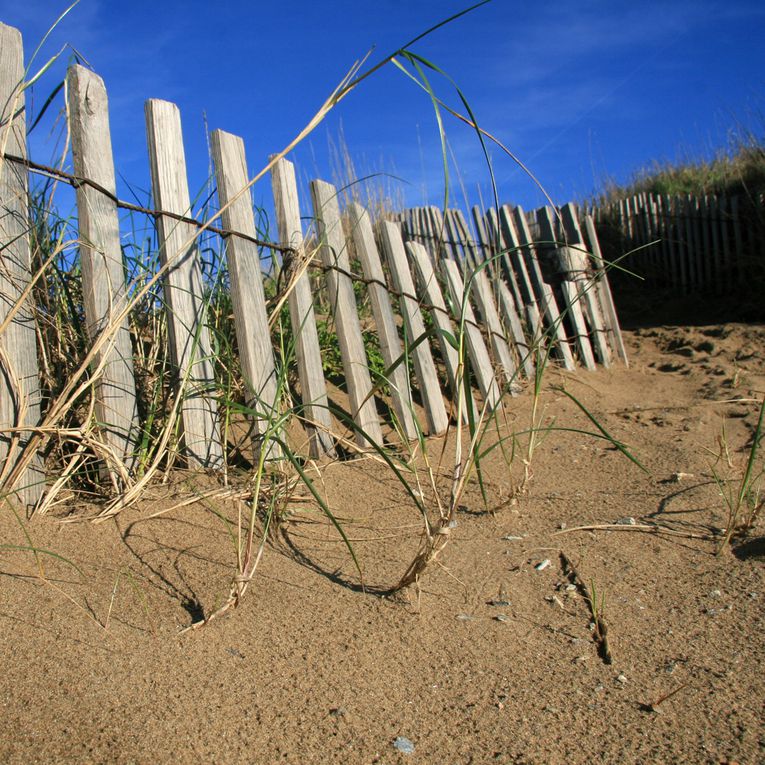 Bretagne en Vrac - Photos Thierry Weber Photographe de Mer - La Baule Guérande