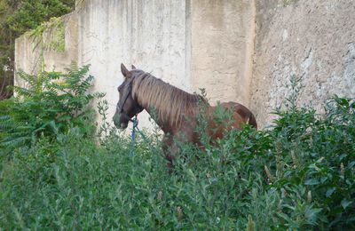 rencontre