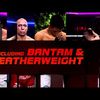 UFC Undisputed 3 - Le Roster du jeu