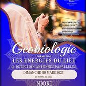 NIORT/79 Deux Sèvres/Formation Géobiologie 1: "Les ENERGIES du LIEU"