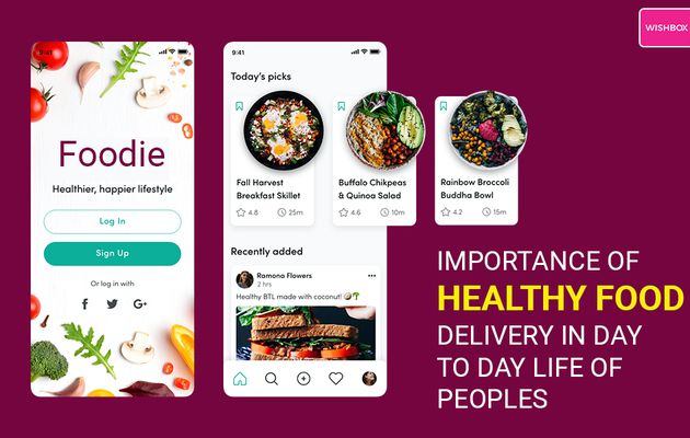 Importance of a Healthy Food Delivery in Day to Day Life of Peoples