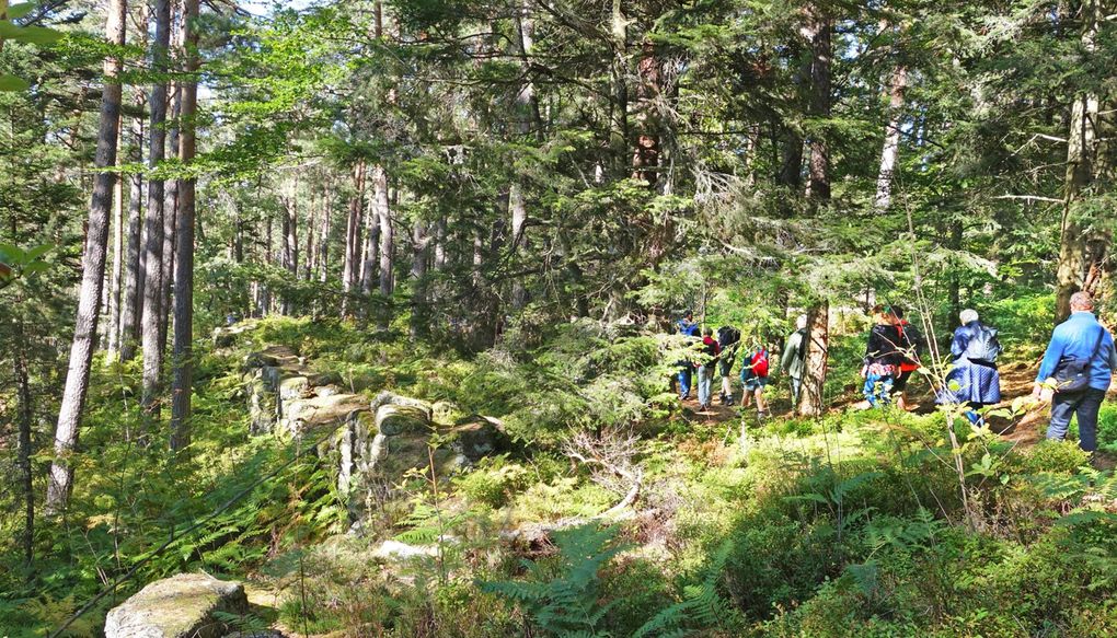 Quelques images de cette belle après-midi, conviviale et ensoleillée.