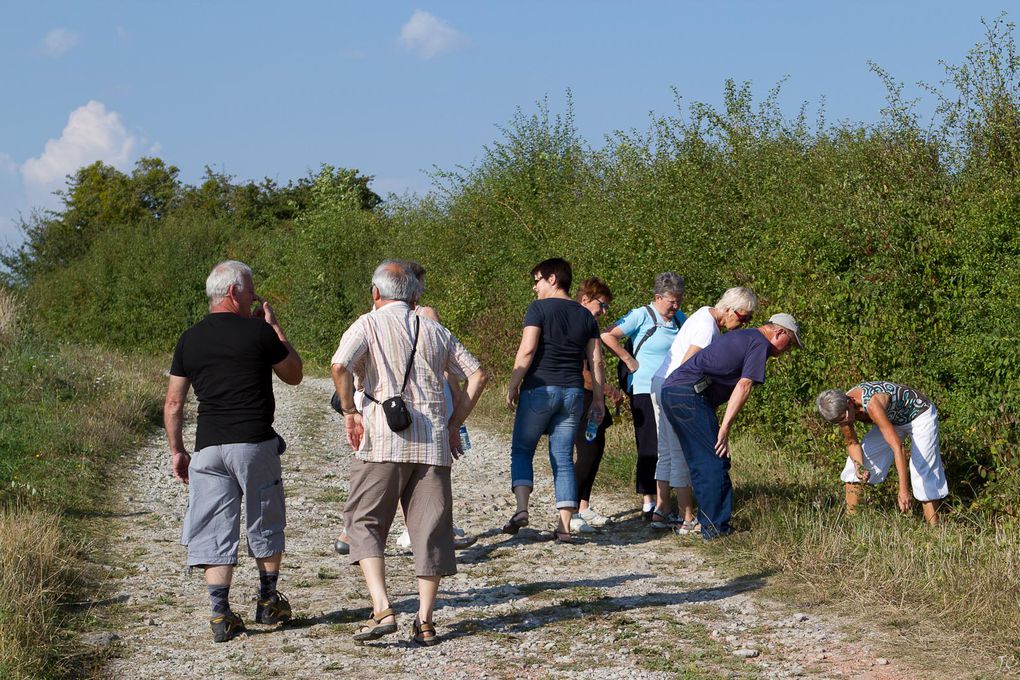 Album - Thuillieres (Sept.-2012)