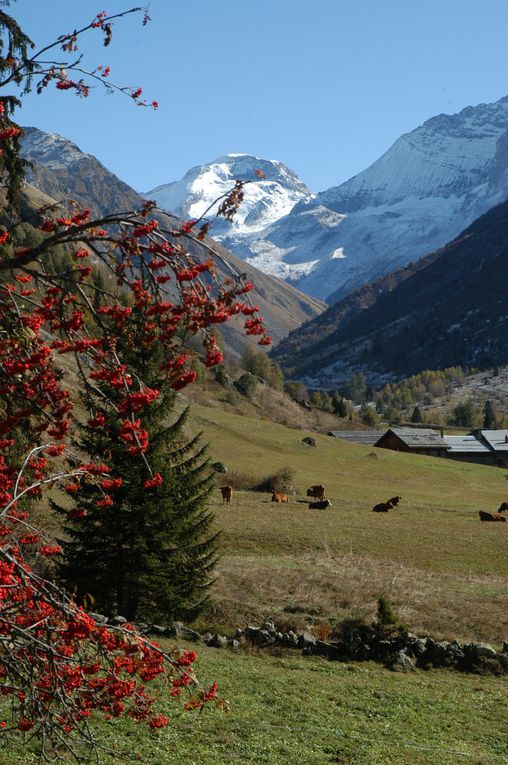 Album - CHAMPAGNY