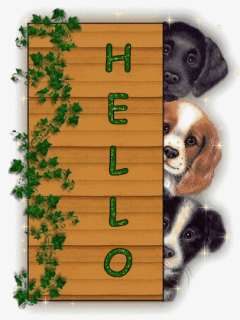Hello -  Chiens - Gif scintillant - Gratuit