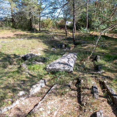 La nécropole mérovingienne des chauzes à Antonne et Trigonant en Dordogne