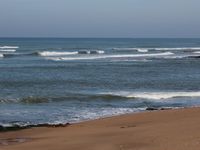 Un aperçu du littoral 