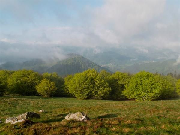 Haut du Tôt, La Bresse. Haut-du-Tôt, chalet refuge. Le Haut-du-Tôt, cascade de la Pissoire en hiver. Massif du Roosberg, orgues basaltiques, hêtres remarquables, ambiance printemps, refuge Sattelboden, Fuchsfelsen, ferme auberge de Michel Bleu, refuges sous le Roosberg, La Bresse dans la lumière du soir, Le Haut-du-Tôt sous la neige et le refuge de la Charme sous la neige. Forêt dans la lumière du soir au Haut-du-Tôt. Michel Laurent, autoportrait.