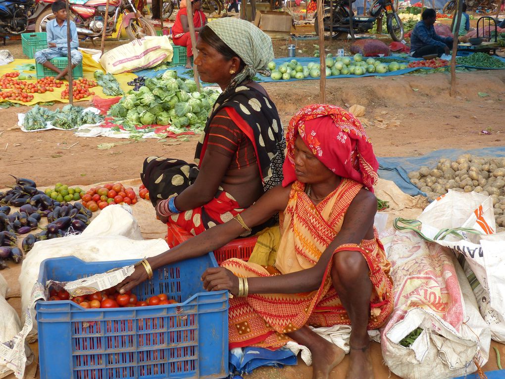 Marchés  tribaux à NEGANAR, TOKAPAL, KODENAR, NANGUR, KODEGOAN   au BASTAR (CHHATTISGARGH) et DANTEVADA. Ethnies Dhurwas, Bathras, Maria et Muria.