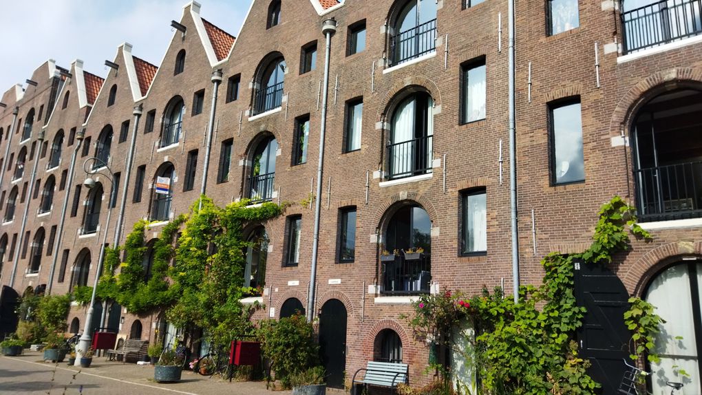 Amsterdam au musée Rijksmuseum et promenade dans la ville en remontant vers le nord jusqu'à la rue Anne Frank