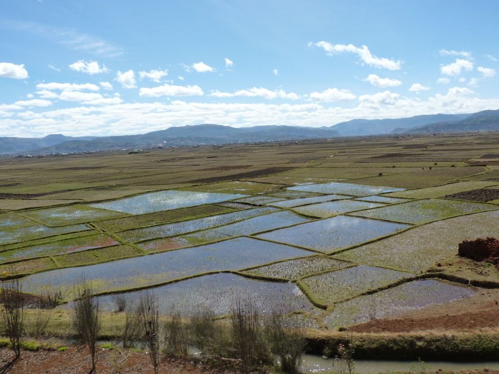 Première étape lors de notre périple le long de la fameuse RN7: Tana et la région des Hauts Plateaux