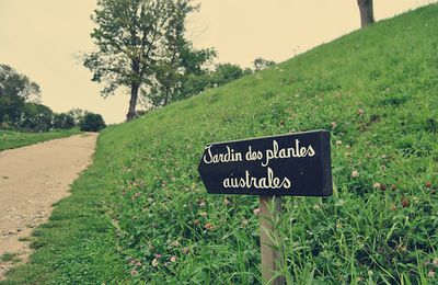 Les jardins suspendus du Havre