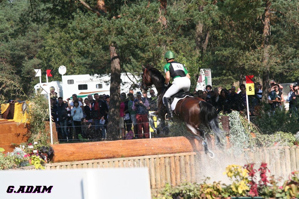 Championnat d'Europe de concours complet d'équitation 2009