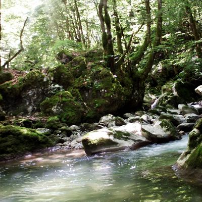 Bilan saison mouche 2012 ?