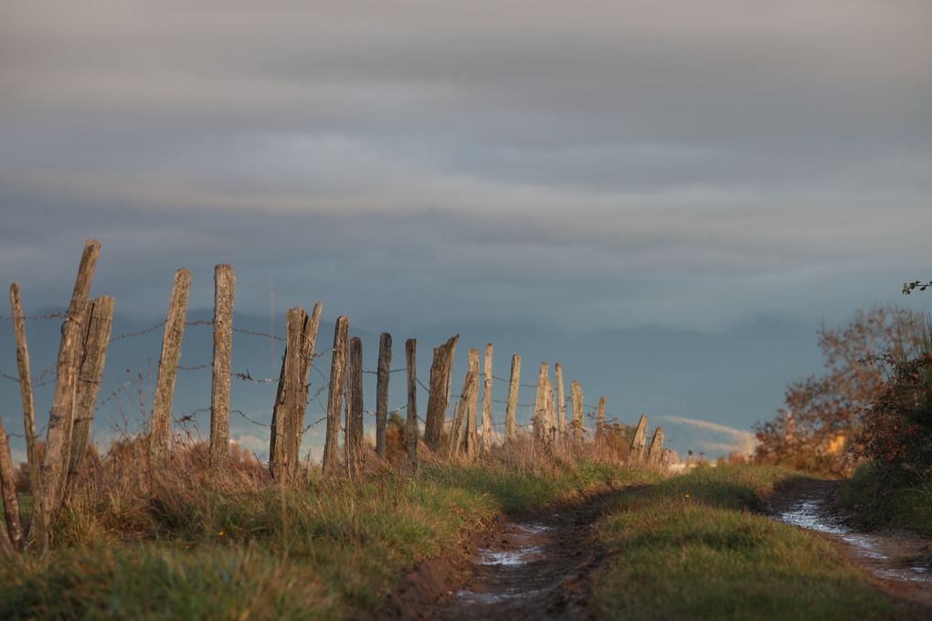 paysages auvergne chaine des puy