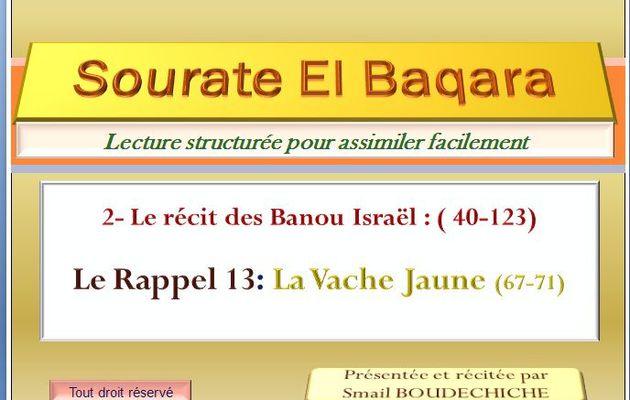 Sourate El Baqara: La Vache Jaune (67-71)- سورة البقرة