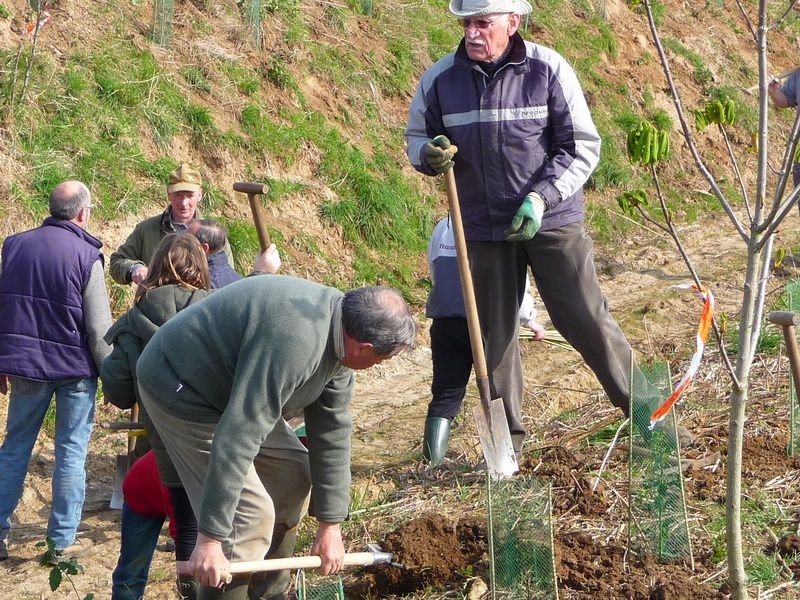 Les Vadrouilleux et chasseurs plantent des arbustes dans la cavée d'Embreville