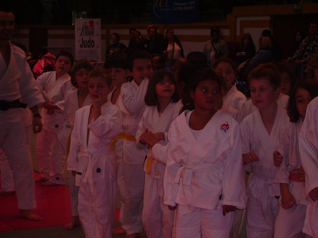 Stage d'arbitre et compétition "4 Saisons " & " Petits Tigres ". Et participation de Frédéric Demontfaucon, champion du monde en 2001 et médaille de bronze aux Jeux Olympiques de Sidney 2000.