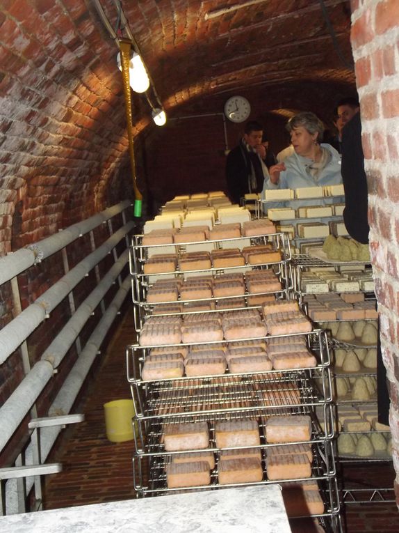 Visite de la ferme de l'Orion, où nous avons appris la fabrication du Maroilles AOP, de la boulette d'Avesnes et du Dauphin, 3 fromages typiques du Nord