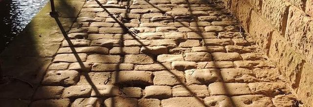 Jeux d'ombres. 
