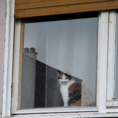 Quartier Le Bonhomme en Pierre
