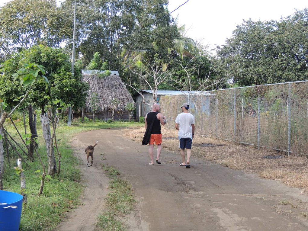 Isla cana une ile pleine de surprises